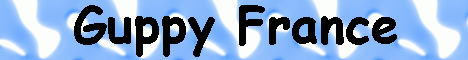 Ecrit en francais 